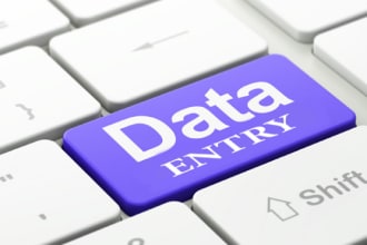 do all types of excel data entry tasks