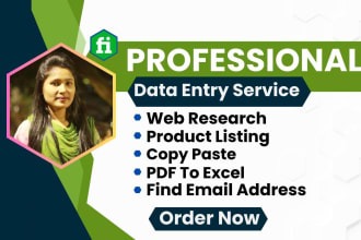 do excel data entry, web research, copy paste, PDF to excel and finding email