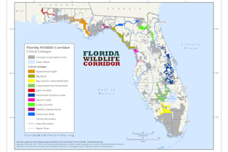 do professional mapping for your project