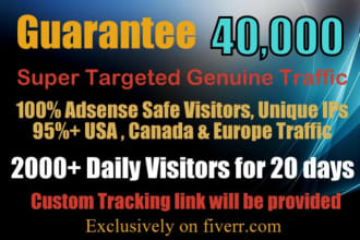 drive 40k us super targeted genuine traffic