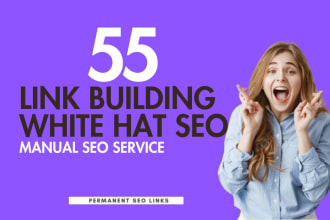 do 55 link building USA backlinks,seo service