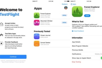 upload ios app to test flight