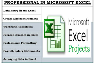 offer professional excel spreadsheet in 4 hours