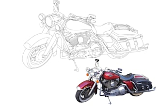 do line art vector tracing of your image