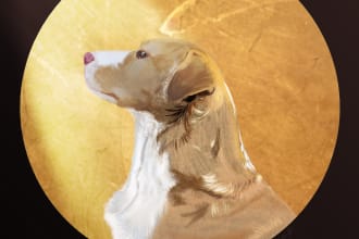 do animal portraits storybook illustrations for you