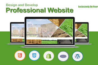 design and develop professional website