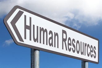 offer professional human resource management functions support