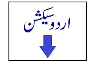 urdu data entry typing, editing and composing work