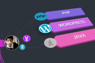 do api integration, php, javascript, jquery scripts and wordpress scripts