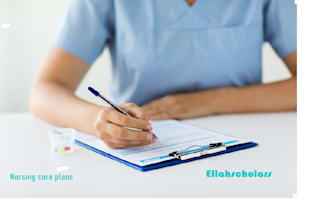 do nursing care plans, soap or birp notes, and other nursing related tasks