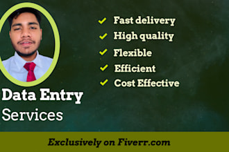 be your virtual assistant for data entry and admin support tasks