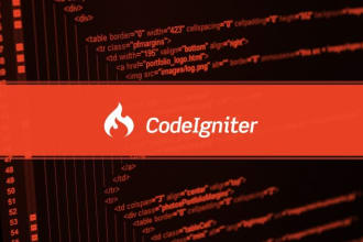 be your PHP developer who fix bugs or issues in codeigniter or core