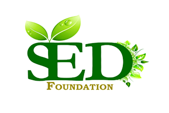 make modern environmental logo design with creative concepts