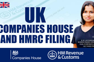 prepare UK company accounts and corporation tax return ct600