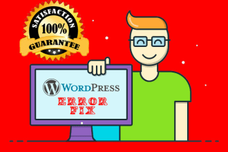 provide professional wordpress error fixing services