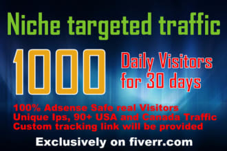 drive 30,000 niche targeted US website,traffic,visitors