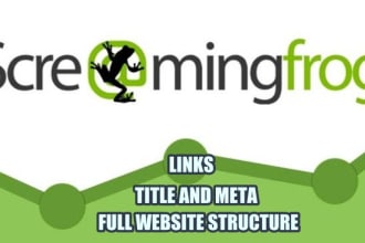 do complete SEO audit by using screaming frog software