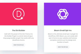 develop wordpress website with divi theme and divi builder