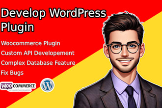 fix or develop modify custom wordpress plugins or woocommerce plugins
