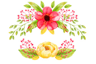 do watercolor illustrations for your design