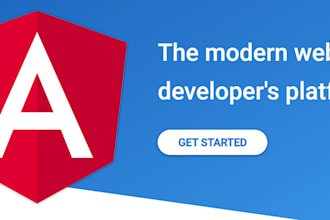 develop angular web app