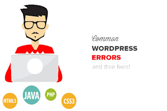 fix all wordpress error bugs issues within 1 hour
