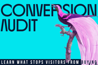 complete a website audit for conversion rate optimization