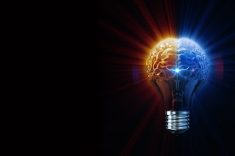do electrical and electronics engineering tasks