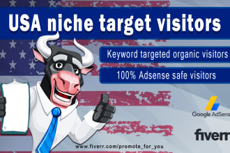 send USA niche targeted organic traffic from google