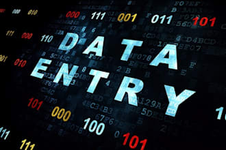 be your virtual assistant for data entry for 2 hours