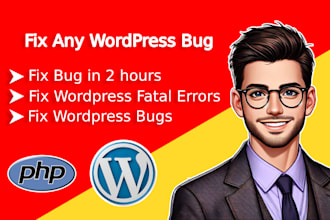 fix wordpress php javascript css bugs, fix wordpress error
