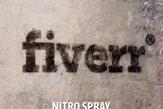 design your logo/text/picture on a wall in GRAFFITI style