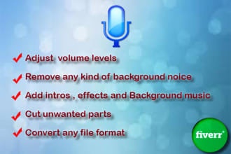professionally edit, mix, and master your podcast audio