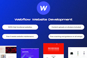 design, redesign or fix your webflow ecommerce website