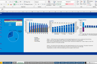 do financial model and feasibility study for startups and companies