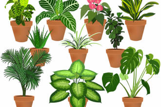 draw vector plants, fruits and vegetables illustration