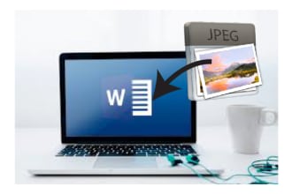 convert your PDF and jpeg to ms word