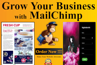 create professional mailchimp email template newsletter and automation