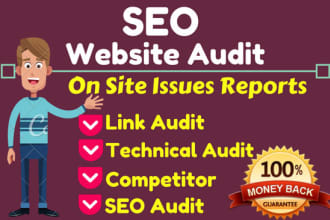 do SEO website audit report