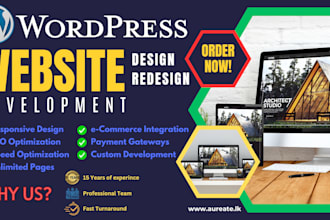 develop or customize and speed up wordpress site