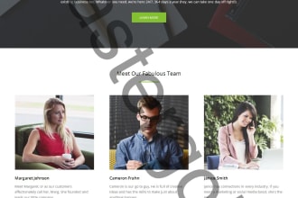 create wordpress website design woocommerce store