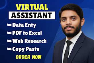 be your virtual assistant for data entry, web research, pdf to excel, data entry