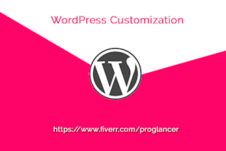 customize wordpress premium theme