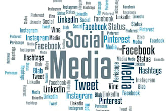 perform social media pages audit