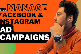 run facebook ads campaign instagram ads and be your meta ads manager