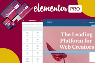 elementor, wordpress elementor website , wordpress website using elementor