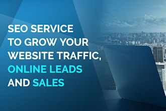 provide complete SEO service, rank higher, get leads