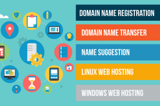 transfer and setup your website to new domain and hosting