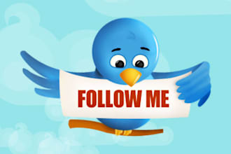 provide you 1,000 real Twitter Followers