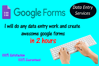 do data entry and professional google forms in 2 hours